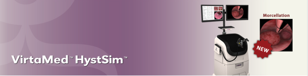 HystSim Hysteroscopy Simulator