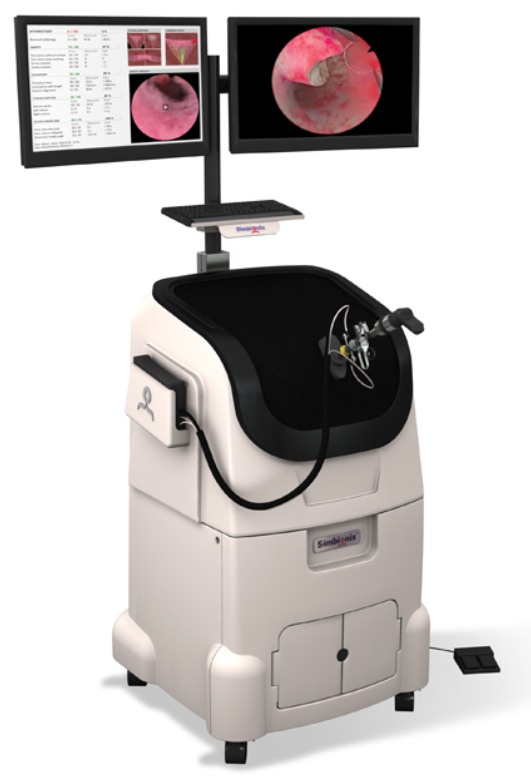HystSim Hysteroscopy Simulator